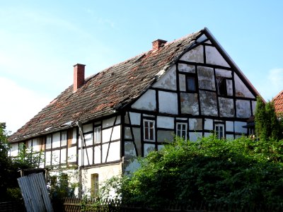 Zechau 10