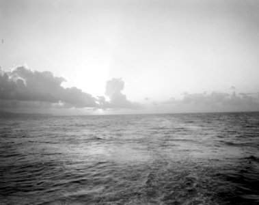Zee, Bestanddeelnr 10229