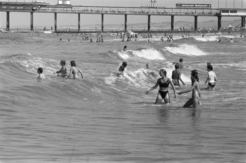 Zee bij Scheveningen ernstig vervuild zwemmers in zee bij Scheveningen, Bestanddeelnr 934-2976