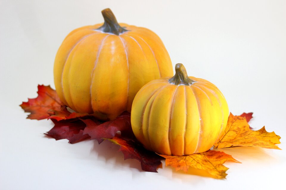 Autumn halloweenkuerbis orange