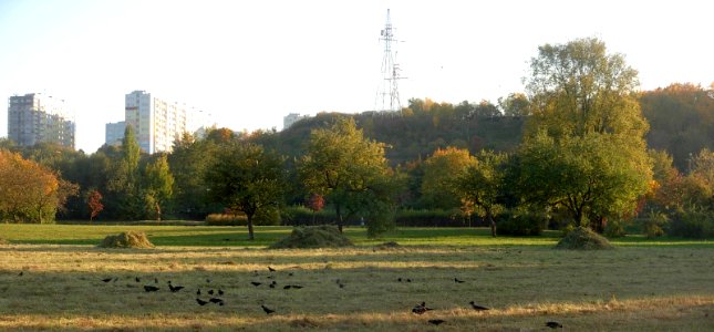 ZB z parku Centralnego panoram 2012
