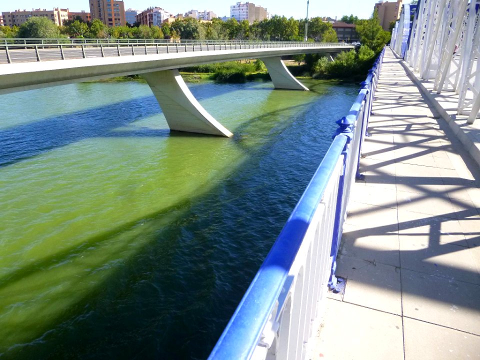 Zaragoza - Puente de Nuestra Señora del Pilar (Puente de Hierro) 4