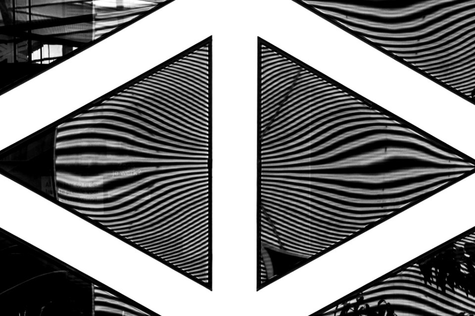 Zebra Flection (45008638)