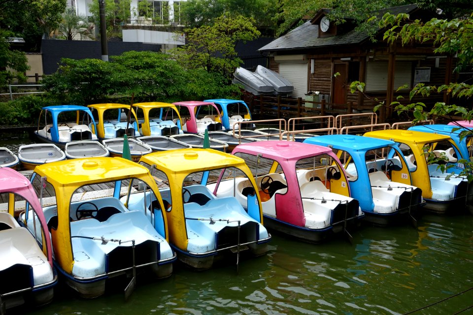 Zenpukuji Park - Suginami, Tokyo - DSC01739