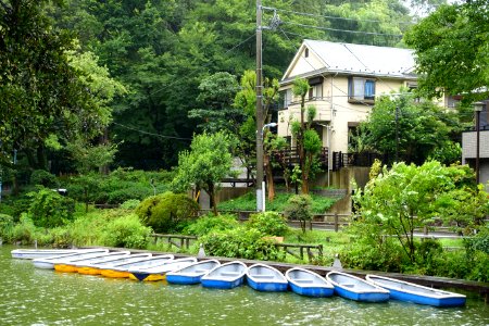 Zenpukuji Park - Suginami, Tokyo - DSC01743
