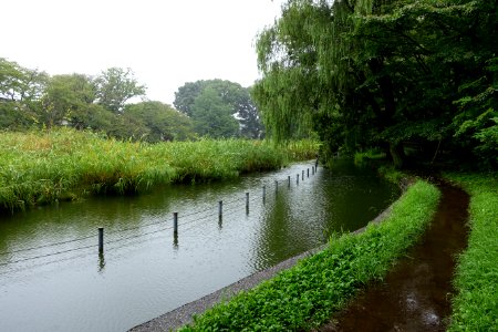 Zenpukuji Park - Suginami, Tokyo - DSC01688