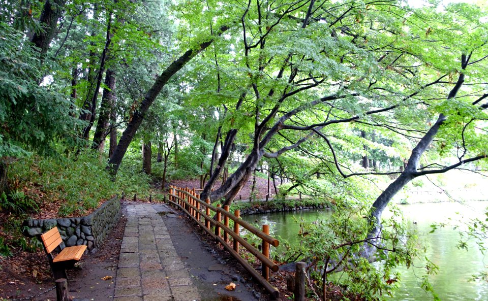 Zenpukuji Park - Suginami, Tokyo - DSC01812