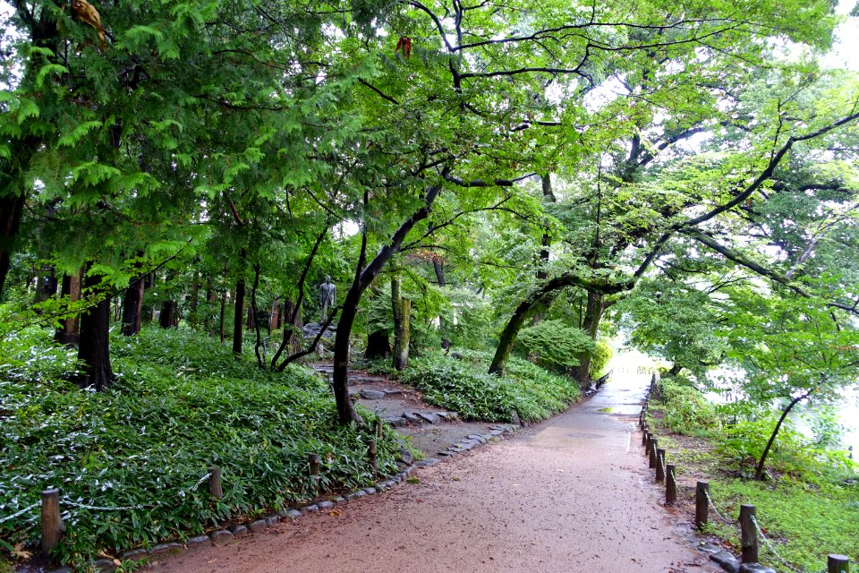 Zenpukuji Park - Suginami, Tokyo - DSC01746