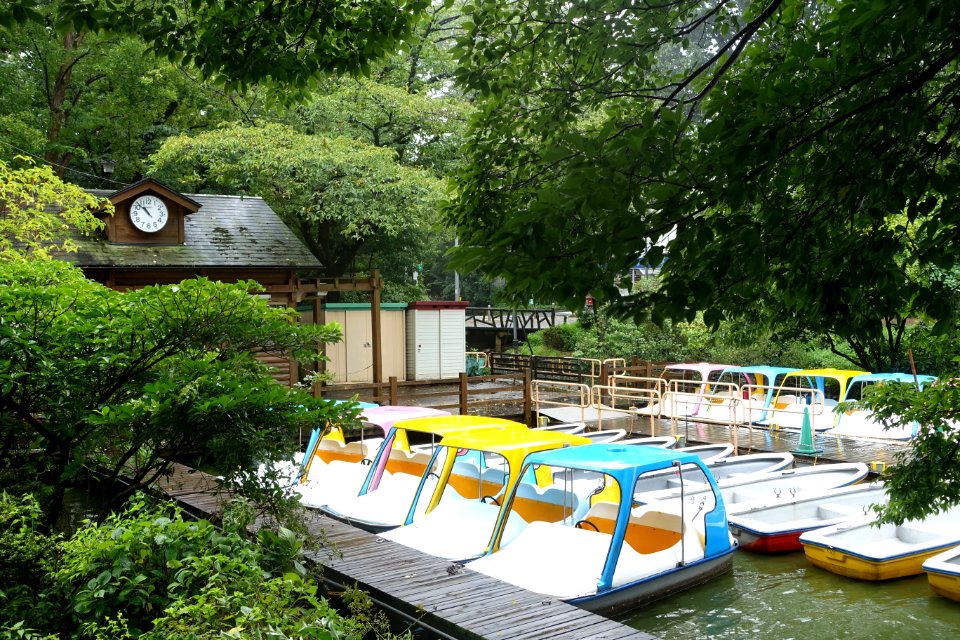 Zenpukuji Park - Suginami, Tokyo - DSC01841