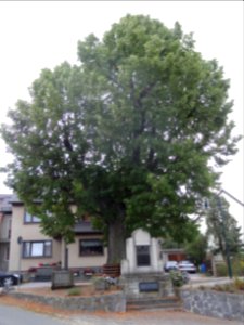 Zentraler Platz von Lichta