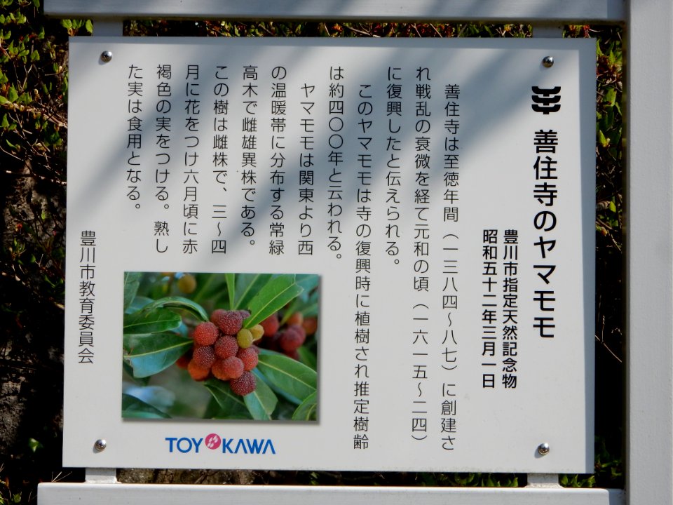 Zenjuji, in Toyokawa, Aichi (2018-04-21) 15
