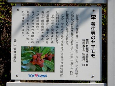Zenjuji, in Toyokawa, Aichi (2018-04-21) 15
