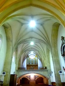 Zegama - Iglesia de San Martín de Tours, interiores 06