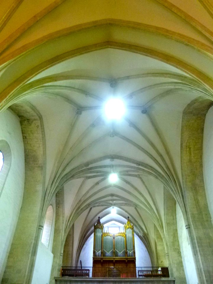 Zegama - Iglesia de San Martín de Tours, interiores 09