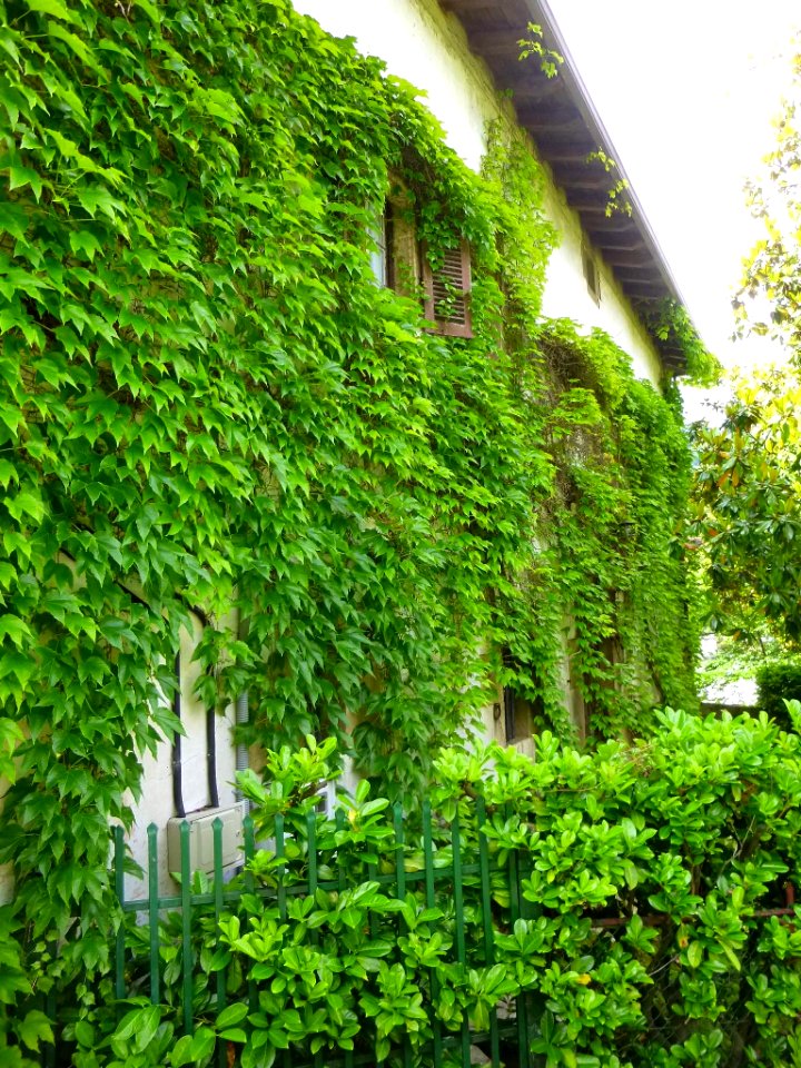 Zegama - Mazkiaranbarrena (Casa mortuoria de Zumalacárregui) 3