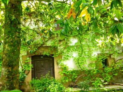 Zegama - Mazkiaranbarrena (Casa mortuoria de Zumalacárregui) 2