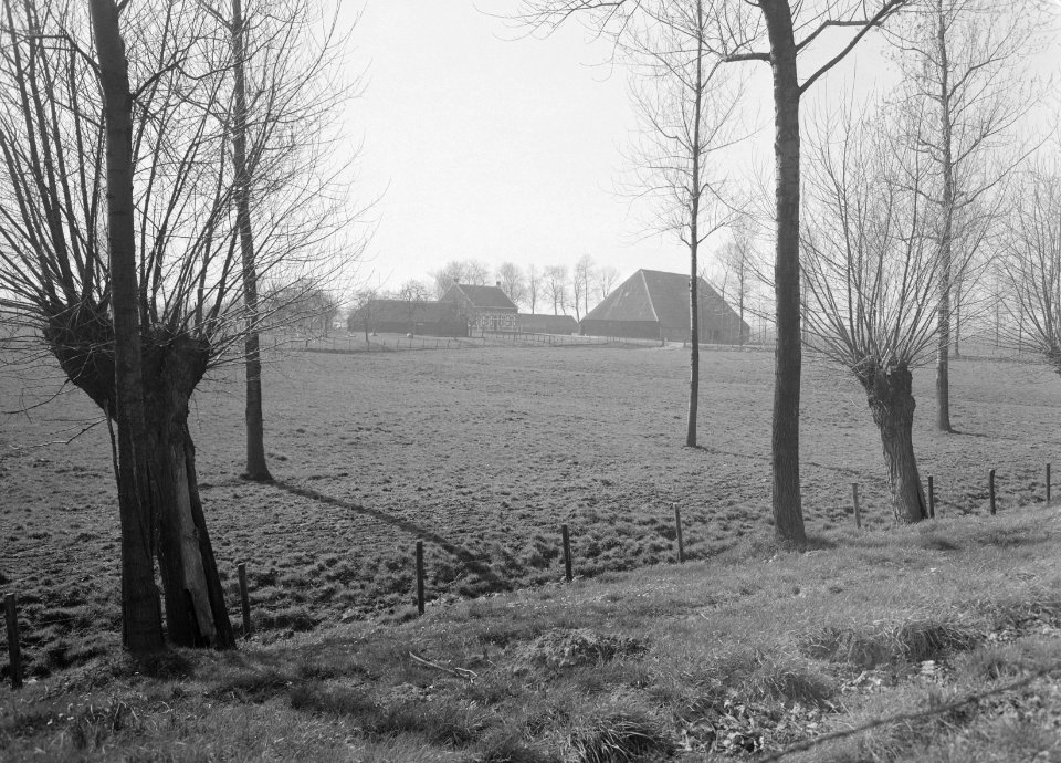 Zeeuws landschap, Bestanddeelnr 250-8192