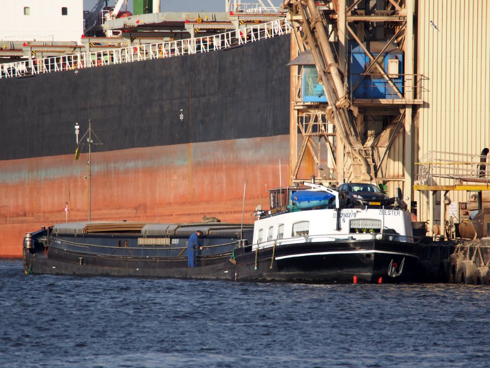 Zeester ENI 03250279, Port of Amsterdam