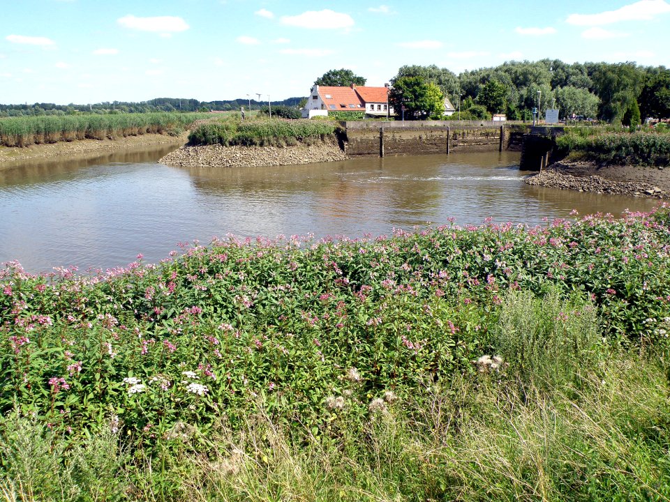 Zennegat 2