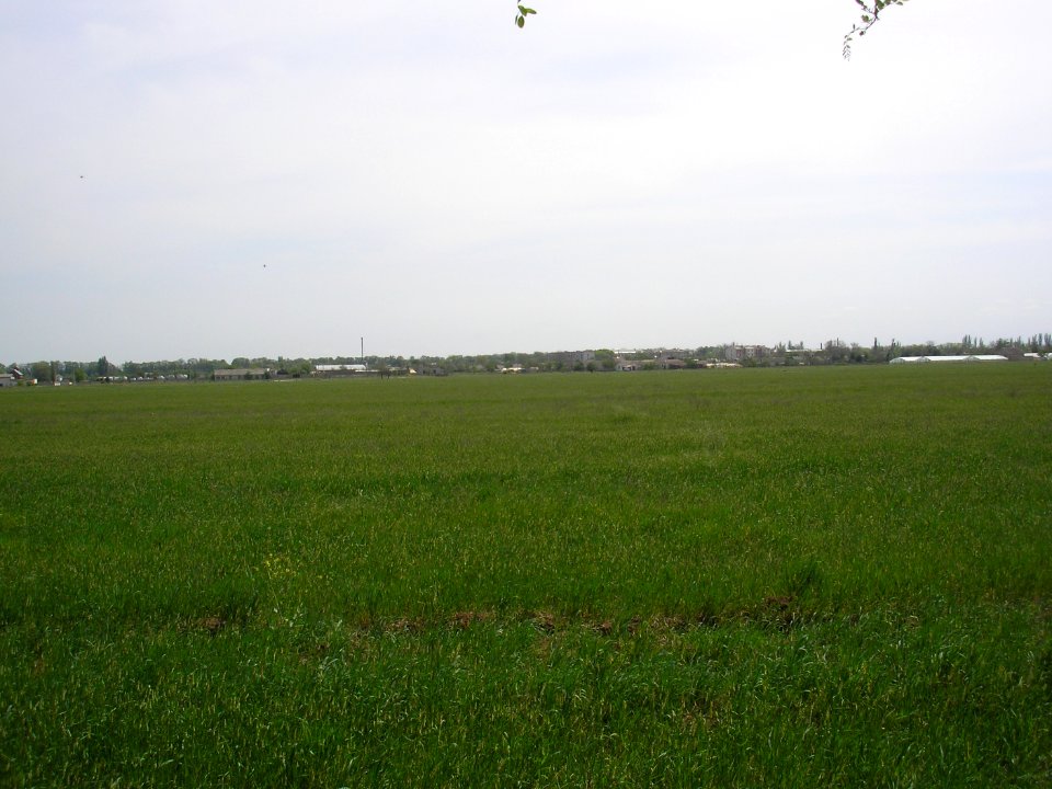 Zhemchuzhina 1