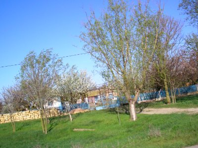 Zelyonaya Niva 19