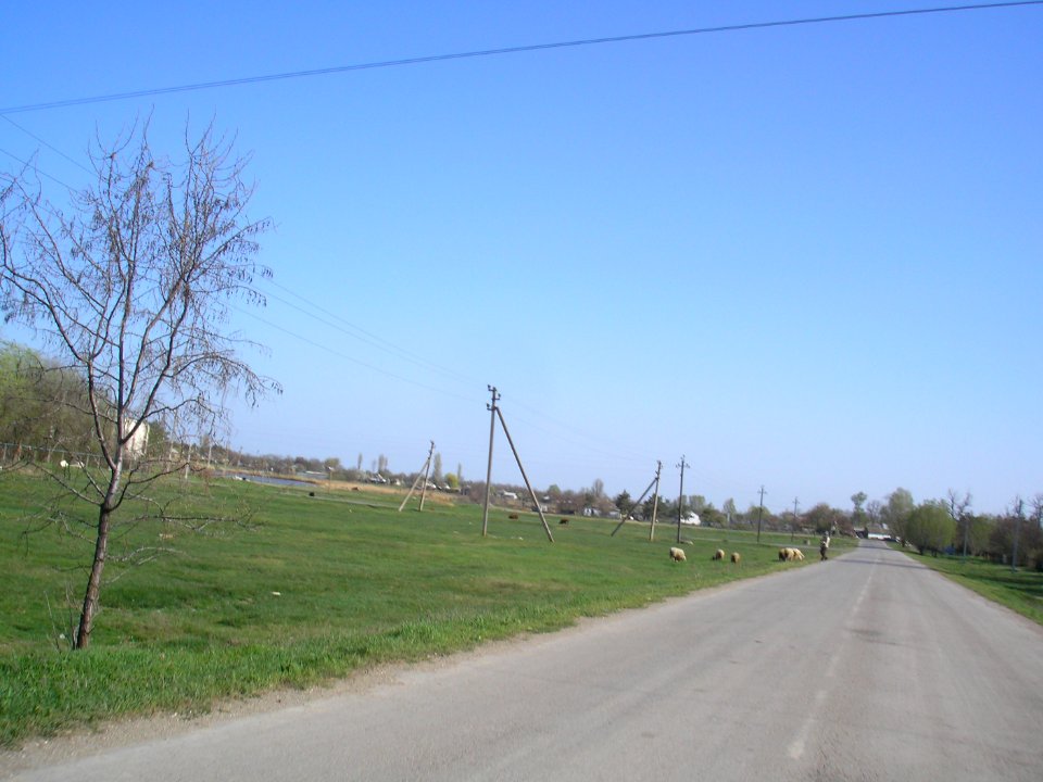 Zelyonaya Niva 21