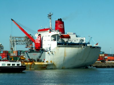 Zhen Hua 4 p4 08-04-06