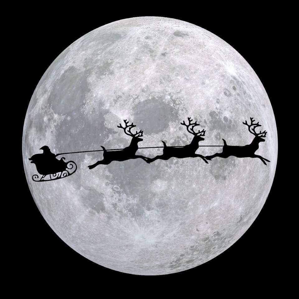 Nicholas reindeer sleigh christmas