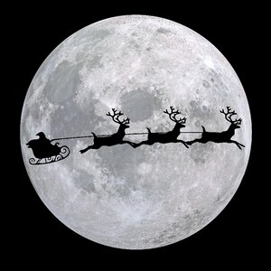 Nicholas reindeer sleigh christmas