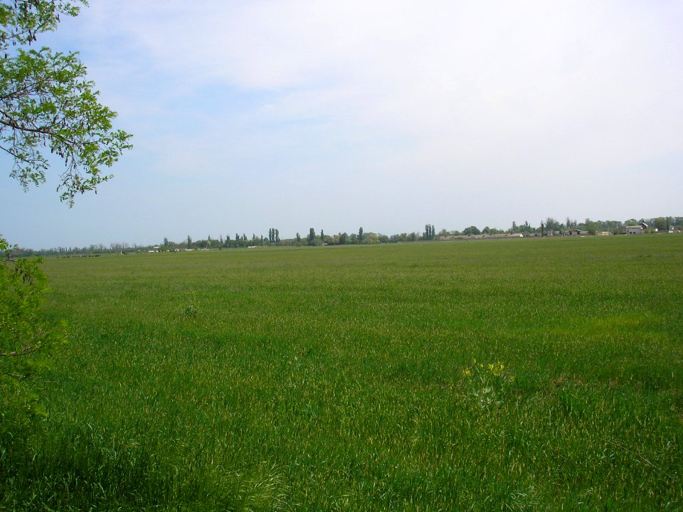 Zhemchuzhina 3