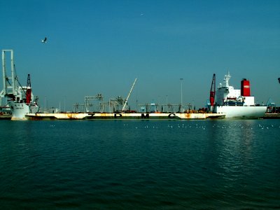Zhen Hua 9 p2 04-05-06