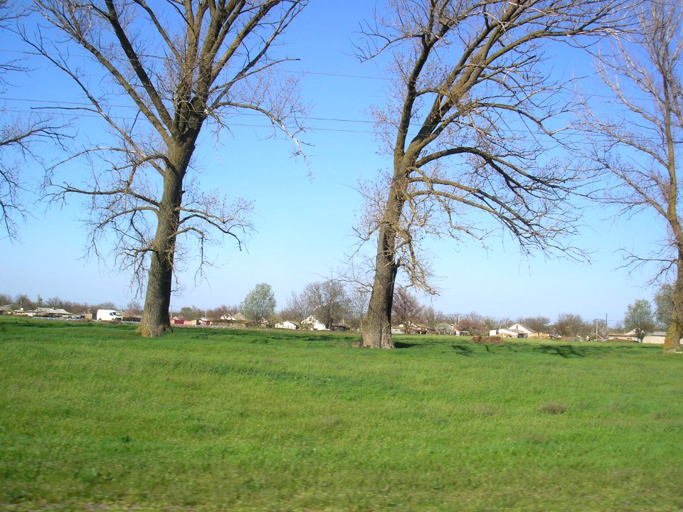 Zelyonaya Niva 7