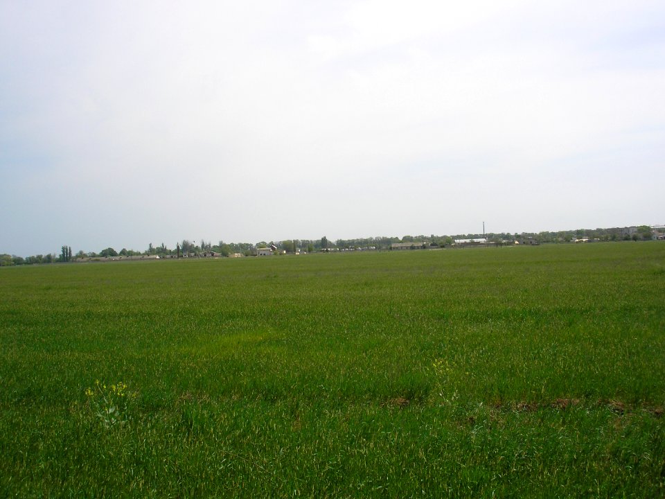 Zhemchuzhina 2