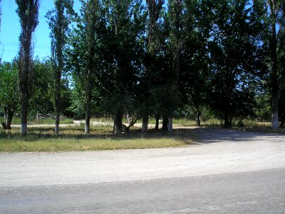 ZhemchuzhinaKrima 2