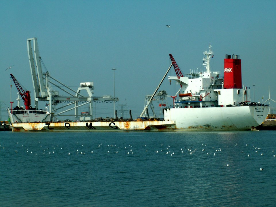 Zhen Hua 9 p3 04-05-06