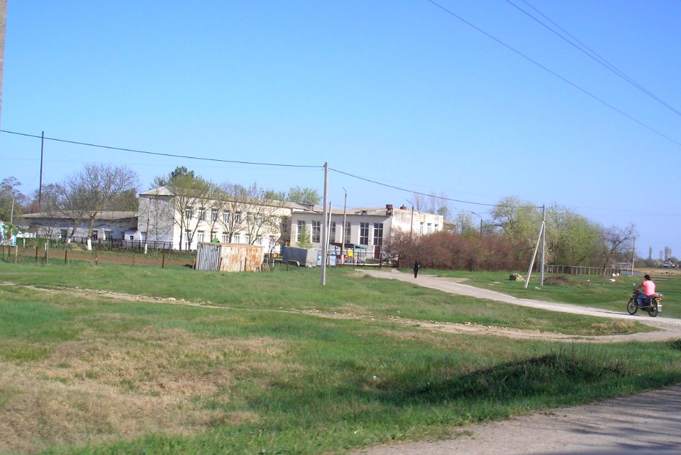 Zelyonaya Niva 20