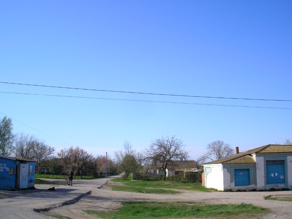 Zelyonaya Niva 12