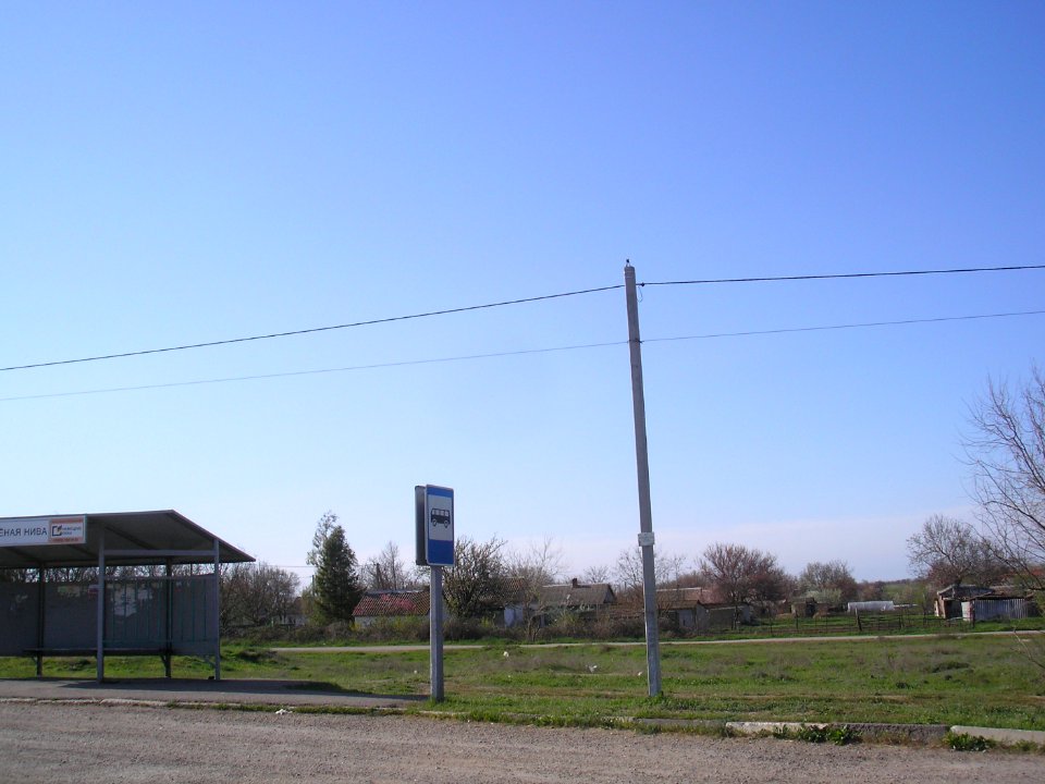 Zelyonaya Niva 11