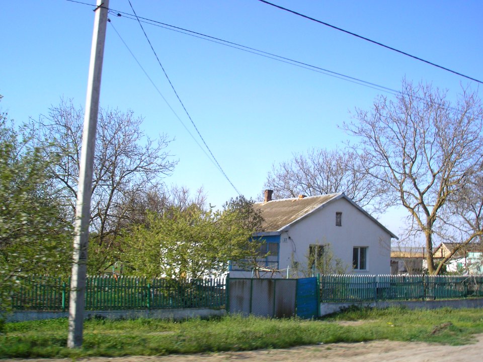 Zelyonaya Niva 26