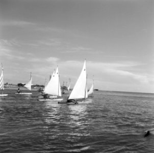 Zeilregatta by Yachtclub Aruba, Bestanddeelnr 252-3919