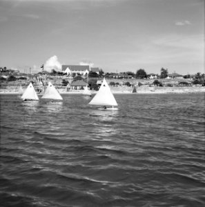 Zeilschepen bij de Yachtclub van Aruba, Bestanddeelnr 252-3980