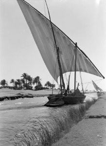 Zeilboot (Felloeka) op waarschijnlijk een zijtak van de Nijl, Bestanddeelnr 191-0086