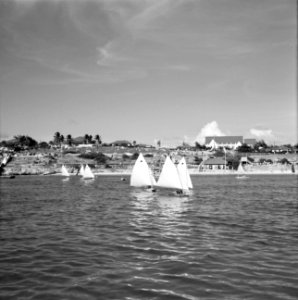 Zeilschepen bij de Yachtclub van Aruba, Bestanddeelnr 252-3981