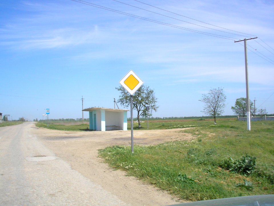 ZernovoeDz 8