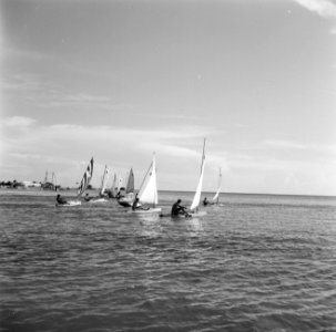 Zeilregatta by Yachtclub Aruba, Bestanddeelnr 252-3920