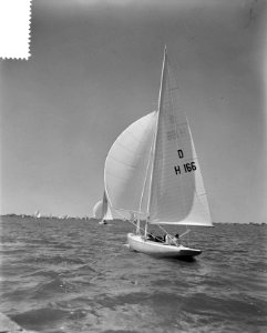 Zeilen Brasemermeer Draken, Bestanddeelnr 907-7822