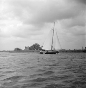 Zeilboot op het Pikmeer bij Grouw op de achtergrond boerderijen, Bestanddeelnr 191-0678 photo