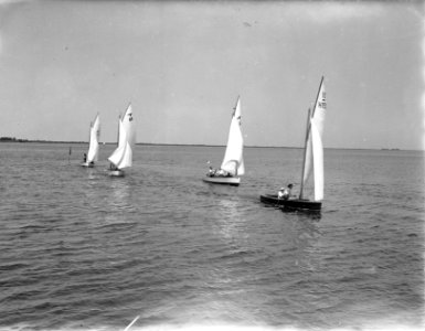 Zeilen IJsselmeer, Bestanddeelnr 902-8875
