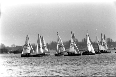 Zeilers op Loosdrechtse Plassen, Bestanddeelnr 925-4668