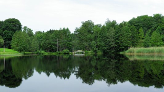 Zasa ezers